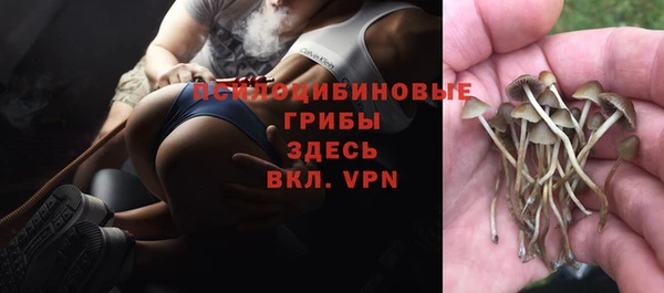 бошки Балахна